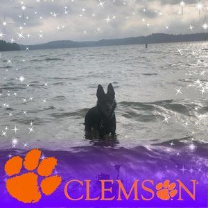 Meet your Posher, Michele